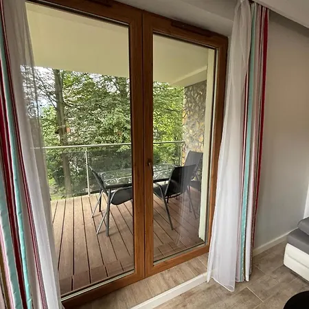 Avangarda 1 * 卡尔帕奇